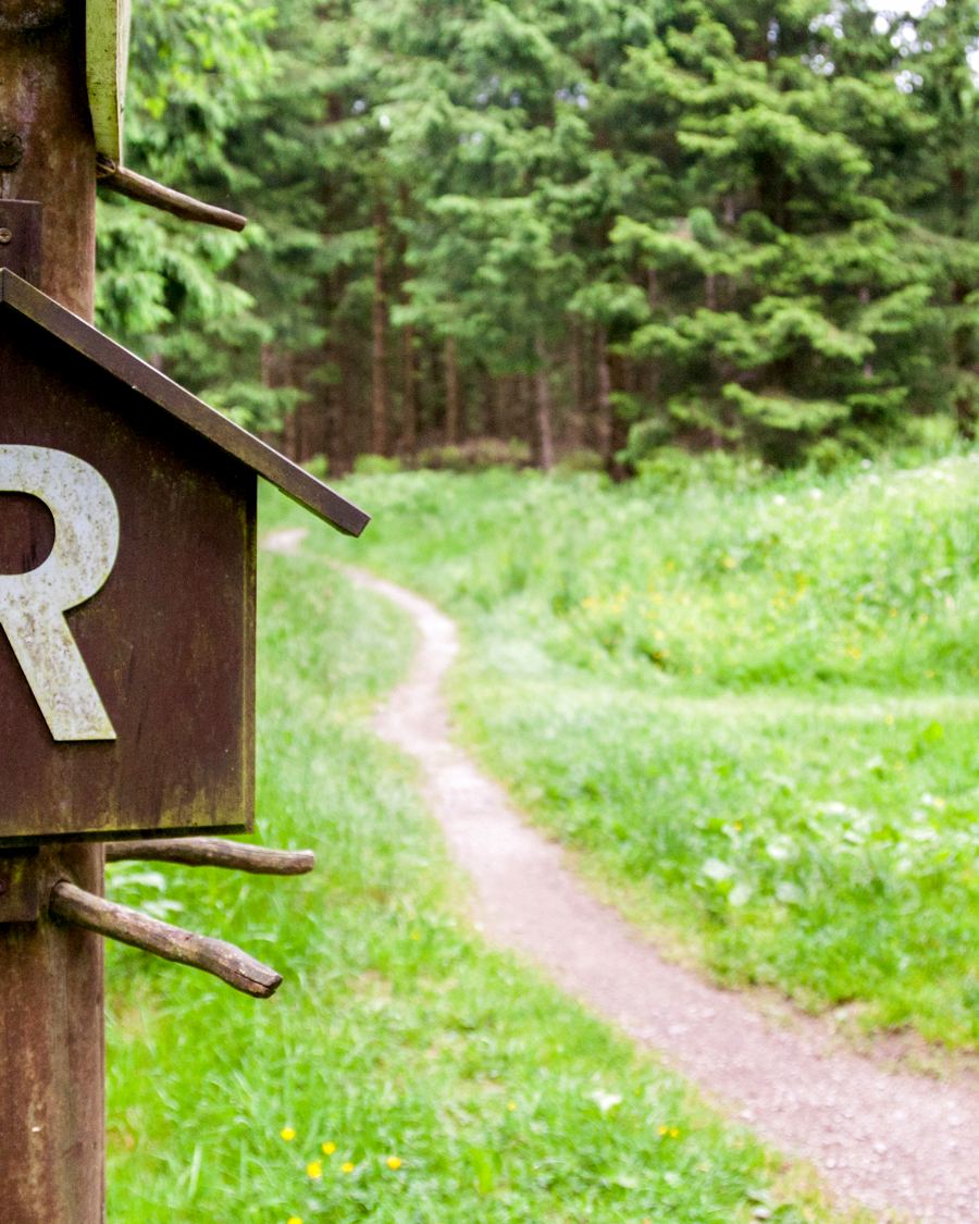 Wanderweg am Rennsteig im Thüringer Wald